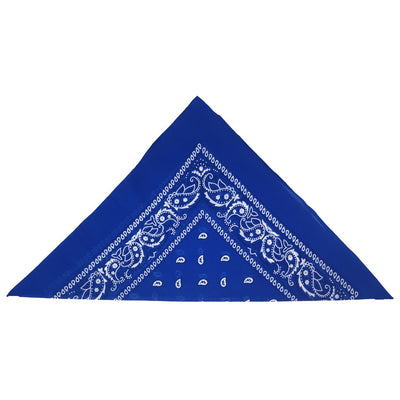 Shop for Blue Paisley Print bandanas